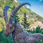 Bed & Breakfast D'hotes Le Montagn'art Beauvezer